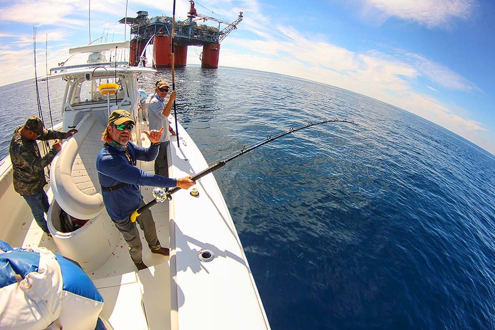 The Best Time of Year to Catch Amberjack in Gulf Shores