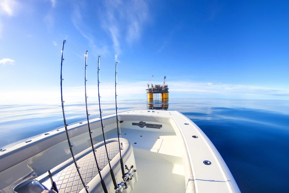 What Makes Gulf Shores a Prime Location for Bottom Fishing