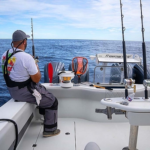 Learn about the successful fishing trips enjoyed by our clients.