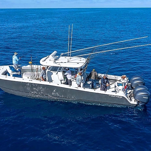 See the variety of fish caught on our Gulf Shores charters.