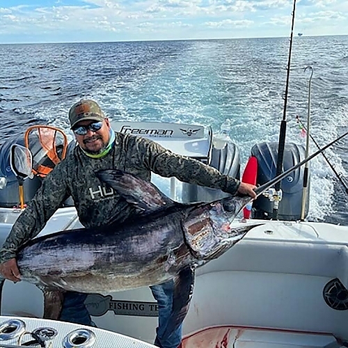 Find out how MSC Fishing Charters creates a unique fishing experience.